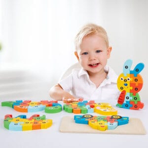 Wooden Puzzle Toy
