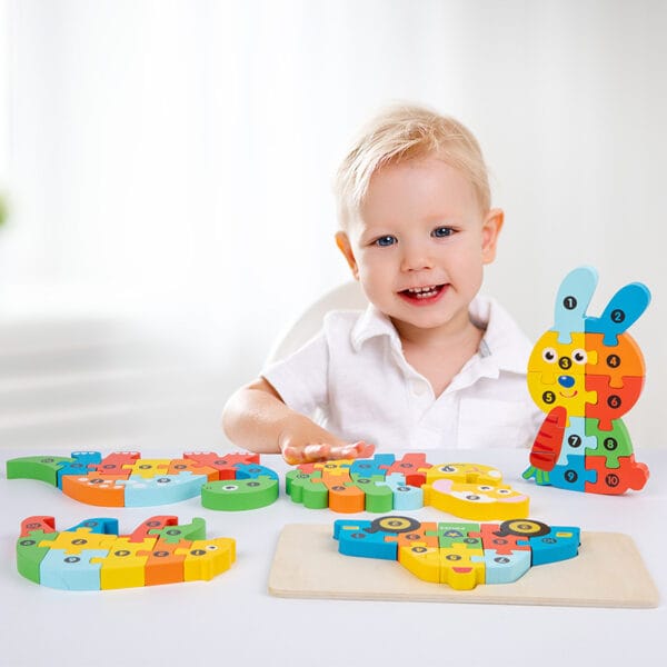 Wooden Puzzle Toy